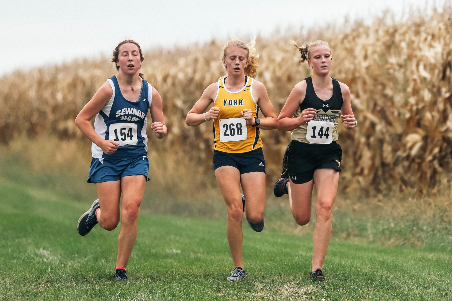 York Central Conference XC (12).jpg